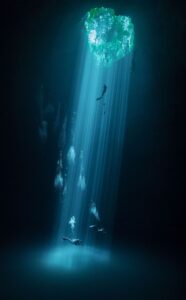 El pit 5