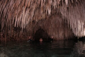IMG_2506